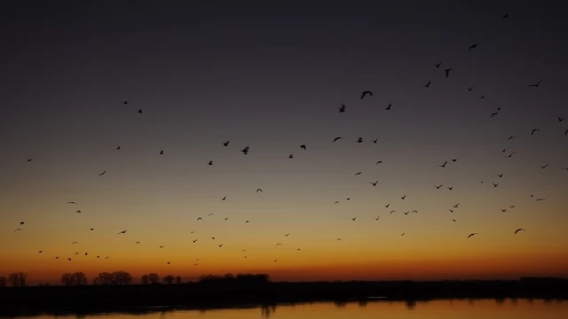Tczew - Wczesny świt na zdjęciach