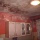 Tczew - Fundacja Dzieci i Rodzin Ubogich prosi o pomoc dla wielodzietnej rodziny