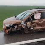 Tczew - Policjanci ustalili przyczynę wypadku w Zajączkowie. 72-latek zasnął za kierownicą