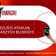Tczew - "Babciu, miałem wypadek!" - Uwaga na oszustów, ostatnio są bardzo aktywni!