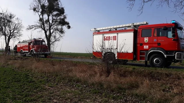 Tczew - Auto wjechało w drzewo. Nie żyje kierowca