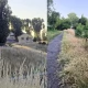Tczew - Prośba o skoszenie. Kto ma psa, ten zrozumie