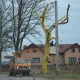 Tczew - Kolorowe drzewo w Rokitkach