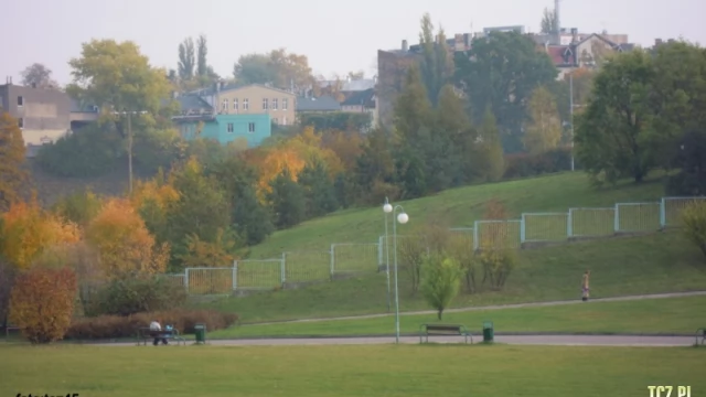 Tczew - Potrzebny wybieg dla psów