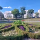 Tczew - Więcej łąk kwietnych, mniej koszenia do ziemi