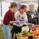 Tczew - Festiwal Zdrowia na kanonce [FOTO]