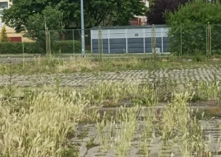 Tczew - Jesteśmy zaniepokojeni stanem parkingu
