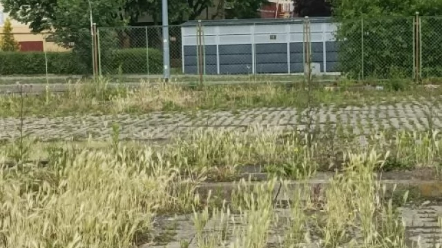 Tczew - Jesteśmy zaniepokojeni stanem parkingu