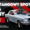 Tczew - Zlot Mustangów dla Kuby - tego nikt się nie spodziewał