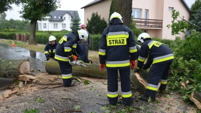 Tczew - Gwałtowne załamanie pogody - straż ma ręce pełne roboty [FOTO, WIDEO]