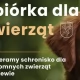 Tczew - Zbiórka w Rokitkach dla schroniska