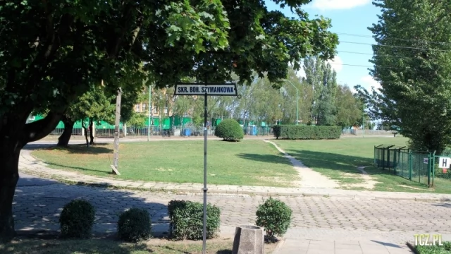Tczew - Byk jak nic...