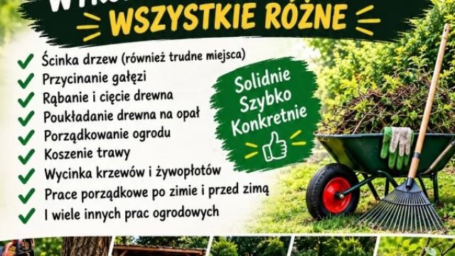 Tczew - Oferuję