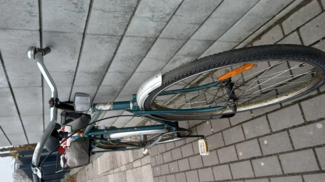 Tczew - Gazelle SENATOR męski holender - Klasyk.