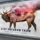 Tczew - Ogień zabija - stop podpalaniu traw!