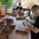 Tczew - Kolejny sezon badań archeologicznych w gminie Gniew