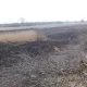Tczew - Ktoś podpalił cenny przyrodniczo użytek "Borawa"
