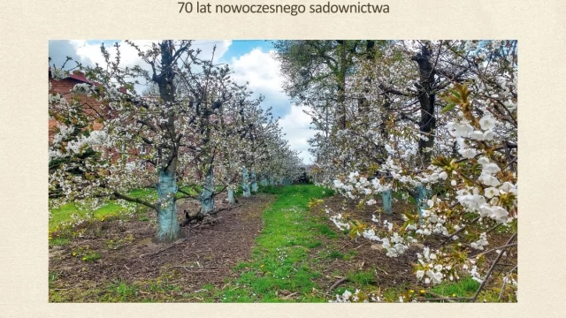 Tczew - Takiej gminy Tczew nie znacie. Najnowsza publikacja Józefa Golickiego