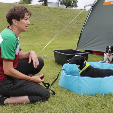 Tczew - Zawody Flyball, czyli wyścig psich sztafet