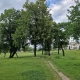 Tczew - Rusza rewitalizacja parku na Piotrowie