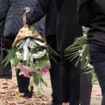 Tczew - Zakład pogrzebowy z Tczewa nawiązuje do "Łowców skór": "zgłaszajcie się na Policję i nagłaśniajcie taką patologię"