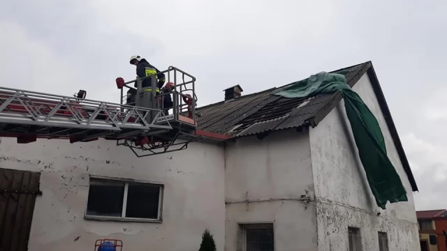 Tczew - Pluton "Wichura" pomagał w Mikołajkach Pomorskich, spustoszonych przez nawałnicę