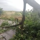 Tczew - Ponad 50 strażackich interwencji po burzach w powiecie tczewskim
