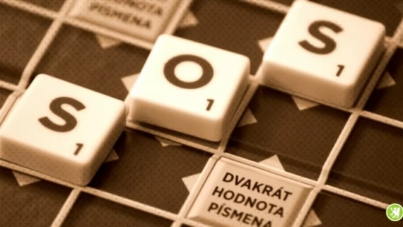 Tczew - Oferujemy Ci oferty dostosowane do wszystkich
