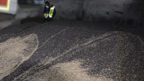 Tczew - Policjanci odzyskali 20 ton rzepaku