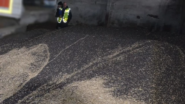 Tczew - Policjanci odzyskali 20 ton rzepaku
