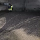 Tczew - Policjanci odzyskali 20 ton rzepaku