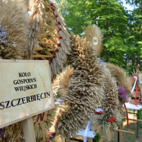 Tczew - Dożynki Gminy Tczew 2014