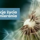 Tczew - Lekcja życia i umierania. Spotkanie, które daje moc