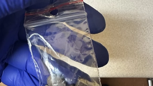Tczew - Marihuana, haszysz, amfetamina, tabletki MDMA, grzyby halucynogenne w mieszkaniu 40-latka