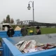 Tczew - 300 kg plastiku, 5000 kg elektrośmieci i 500 kg makulatury wymienili na drzewka