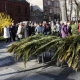 Tczew - Niedziela Palmowa w tczewskiej farze [FOTO]