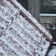 Tczew - I przyszła! Biało, będzie mróz, trudne warunki na drogach