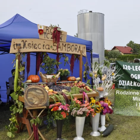 Tczew - Dożynki gminy Tczew