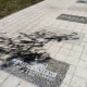 Tczew - W Gniewie powstała Aleja Przedsiębiorców