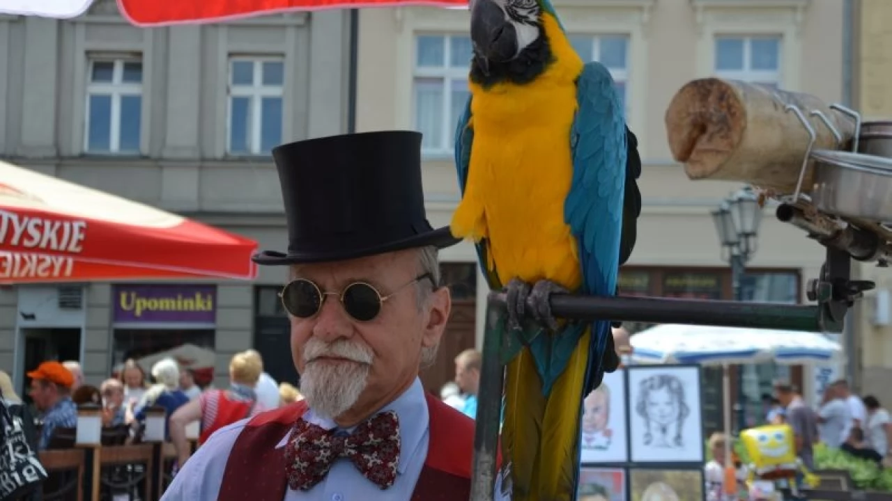 Tczew - Pchli Targ 2015