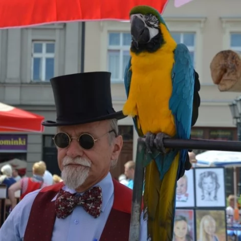 Tczew - Pchli Targ 2015