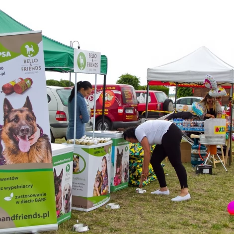 Tczew - Flyball - Wyścigi Psich Sztafet nad Wisłą