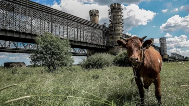 Tczew - Wybrano najpiękniejsze fotografie lata - zobacz niezwykłe ujęcia zwierząt
