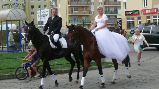 Tczew - Wierzchem przez miasto. Tak się teraz jeździ do ślubu!