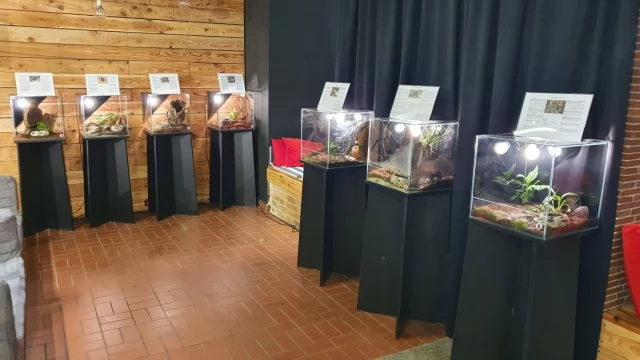 Tczew - Chcesz pogłaskać? Pająki i skorpiony czekają na spragnionych wrażeń
