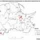 Tczew - W tych miejscach na Pomorzu rośnie groźny Barszcz Sosnowskiego