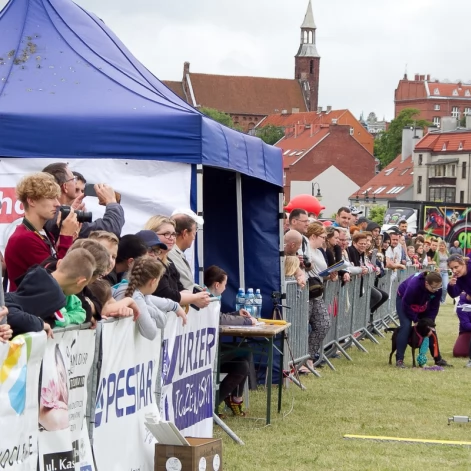 Tczew - Flyball - Wyścigi Psich Sztafet nad Wisłą