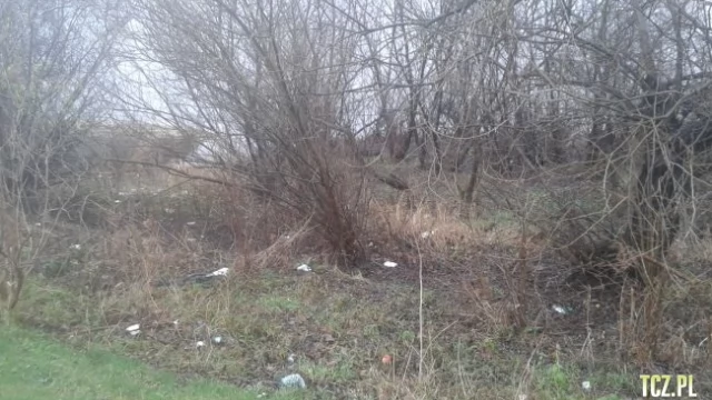Tczew - Spacer ulicą Nadbrzeżną