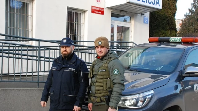 Tczew - Sprawcy nielegalnego wyrębu i kradzieży drewna w rękach policji