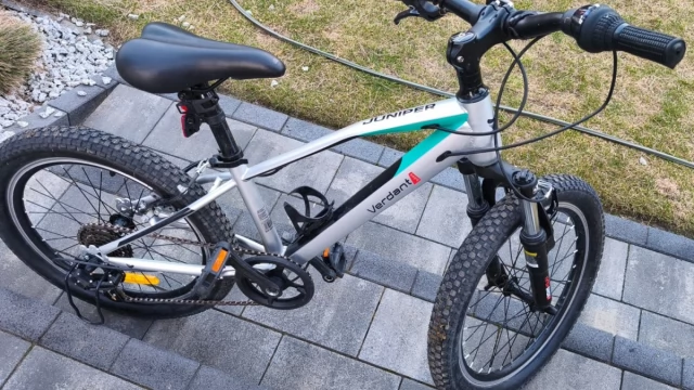 Tczew - Rower Sun Baby Verdant Rowan 20''